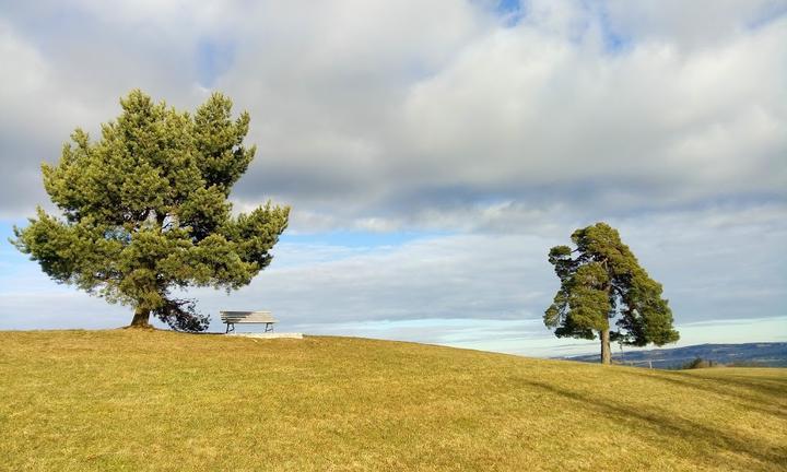 Landgasthof Mariaberg